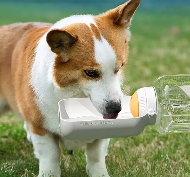 2-in-1 Dog Bottle – Water Bottle with Bowl for Travel