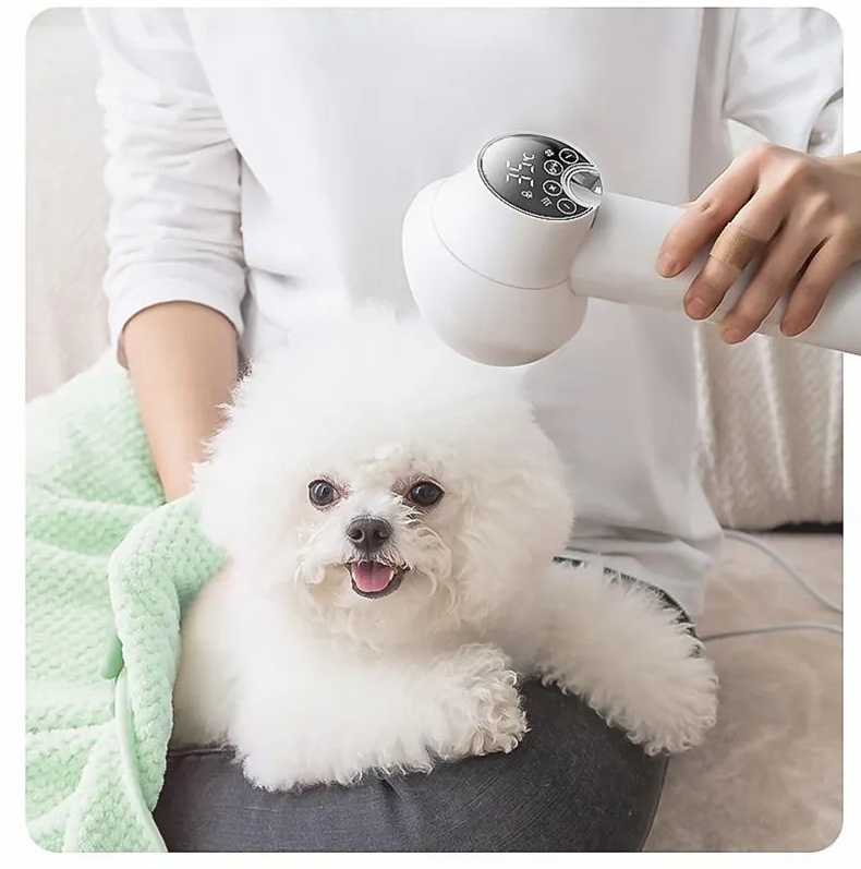 Hair Dryer with Digital Display – Intelligent Temperature Control for Fast and Gentle Drying