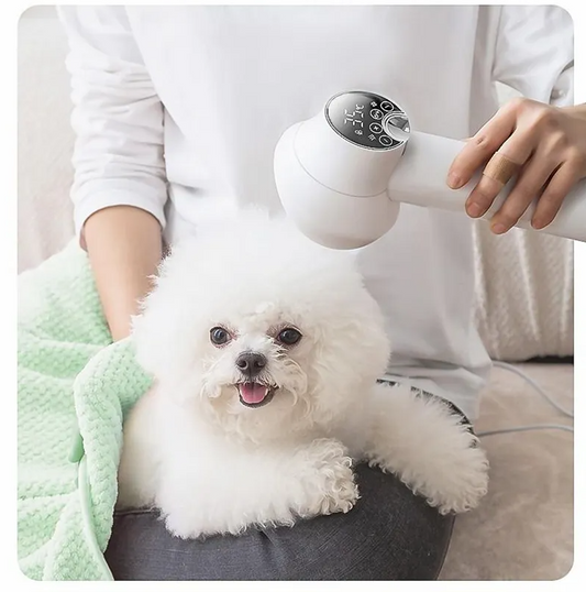 Hair Dryer with Digital Display – Intelligent Temperature Control for Fast and Gentle Drying