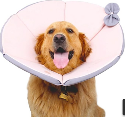 Comfortable Protection Collar for Dogs