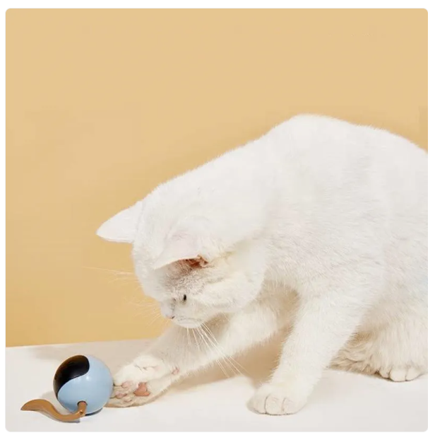 Interactive Cat Toy with LED Lights - Ball-Shaped Toy for Cats