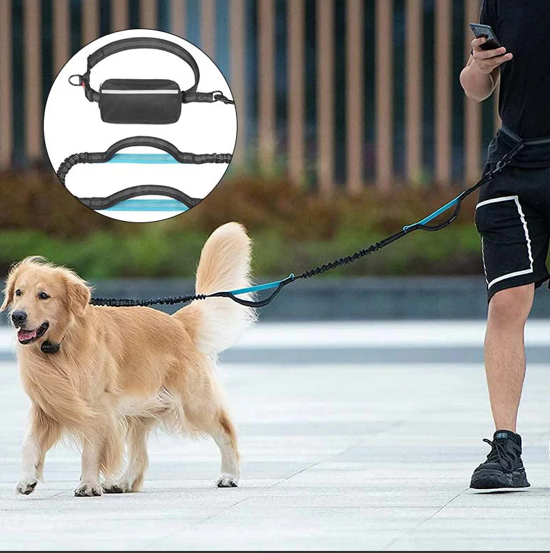 Hands-Free Dog Leash with Front Pocket
