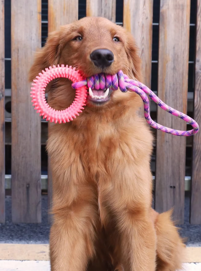 Durable Dog Toy with Teething Ring – Chew and Tug Rope Toy for Interactive Fun