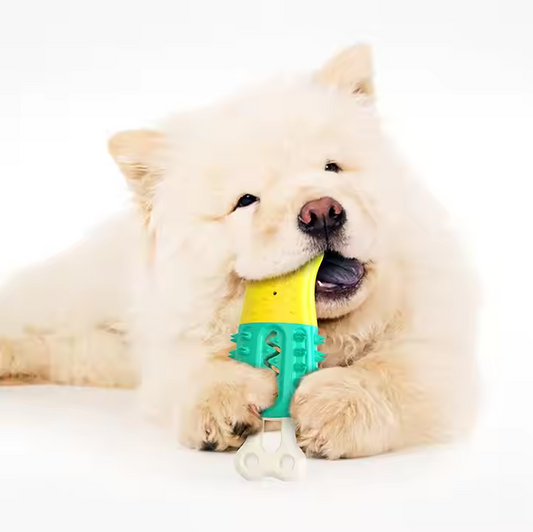 Chew Toys for Dogs - Interactive Toys with Suction Function for Dental Hygiene
