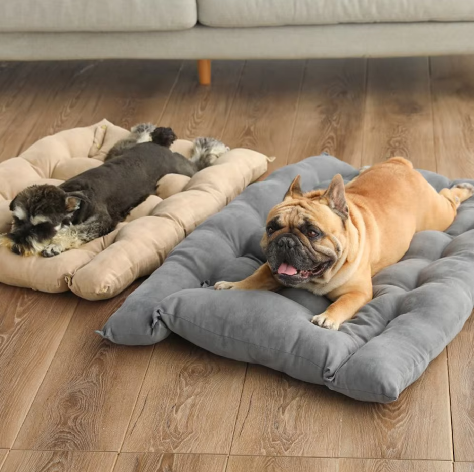 Cozy Dog Bed with Cushion - Soft and Washable Pet Bed for Dogs and Cats