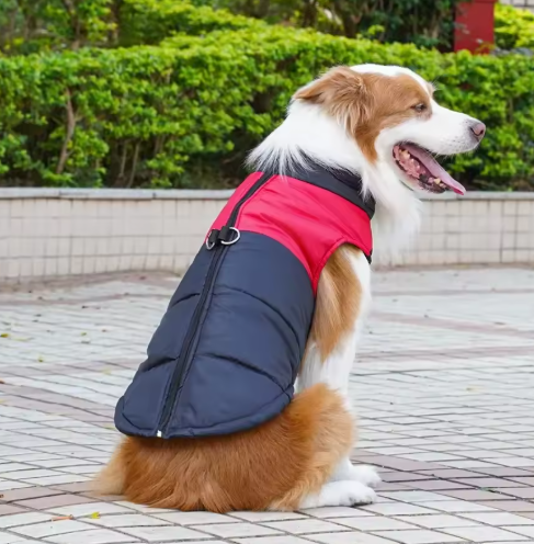Waterproof and Warm Dog Coat for Cold Days