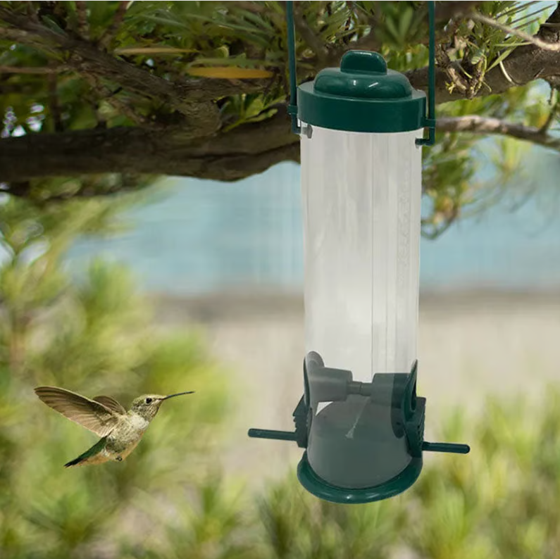Squirrel-Resistant Bird Seed Feeder