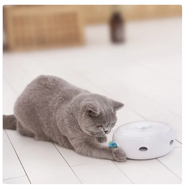 Interactive Cat Toys - Automatic Toy with Rainbow Feathers