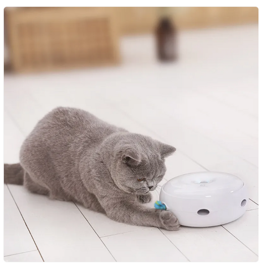 Interactive Cat Toys - Automatic Toy with Rainbow Feathers