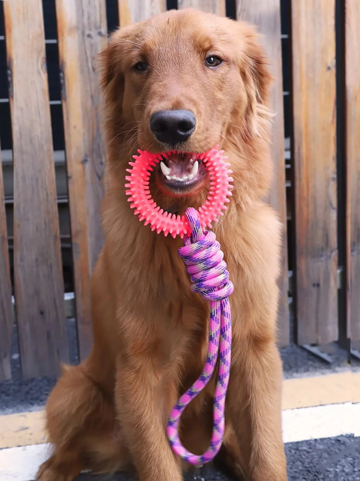 Durable Dog Toy with Teething Ring – Chew and Tug Rope Toy for Interactive Fun