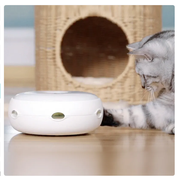 Interactive Cat Toys - Automatic Toy with Rainbow Feathers