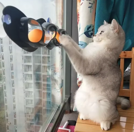 Window Cat Toys - Interactive Play Track with Moving Balls