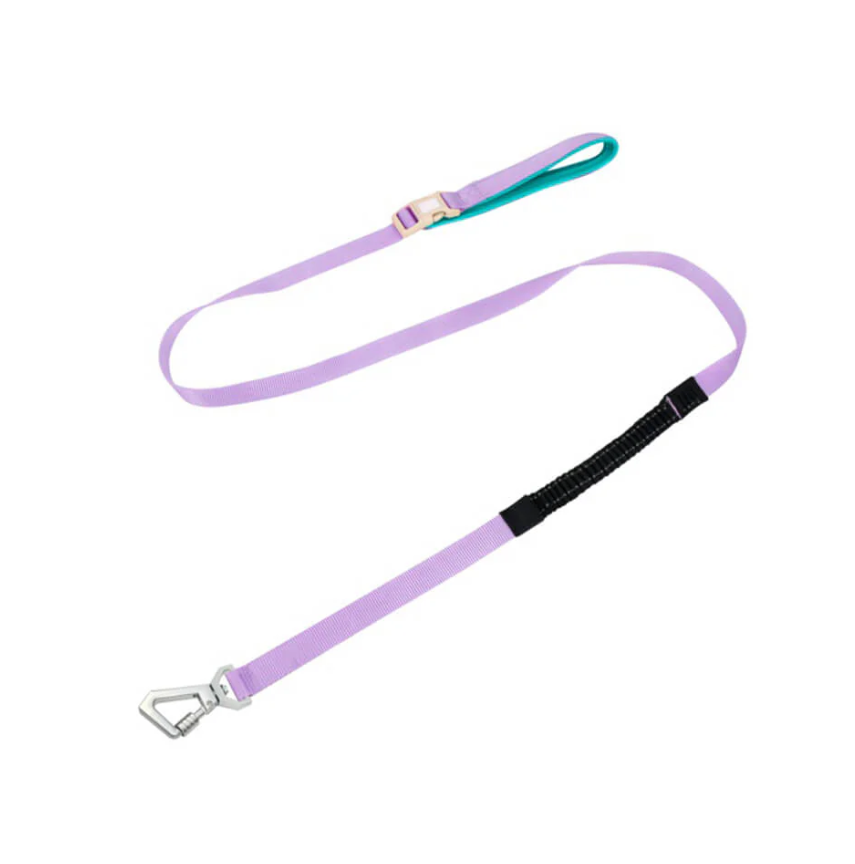 Anti-Pull Harness for Dogs with Adjustable Leash