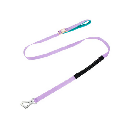 Anti-Pull Harness for Dogs with Adjustable Leash