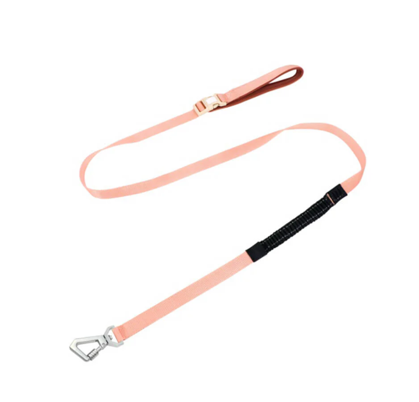 Anti-Pull Harness for Dogs with Adjustable Leash