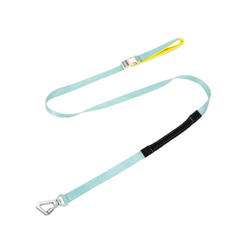 Anti-Pull Harness for Dogs with Adjustable Leash