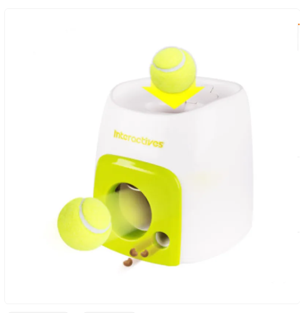 Interactive Dog Puzzle Toy – Smart Dog Toy with Ball