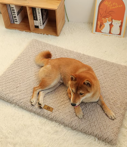 Orthopedic Dog Bed - Plush Mat for Dogs and Cats