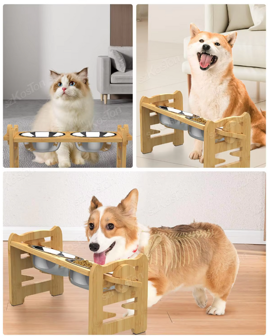 Raised Pet Feeding Station with Stainless Steel Bowls