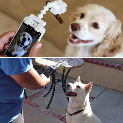 Selfie Stick for Pets with Treat Holder