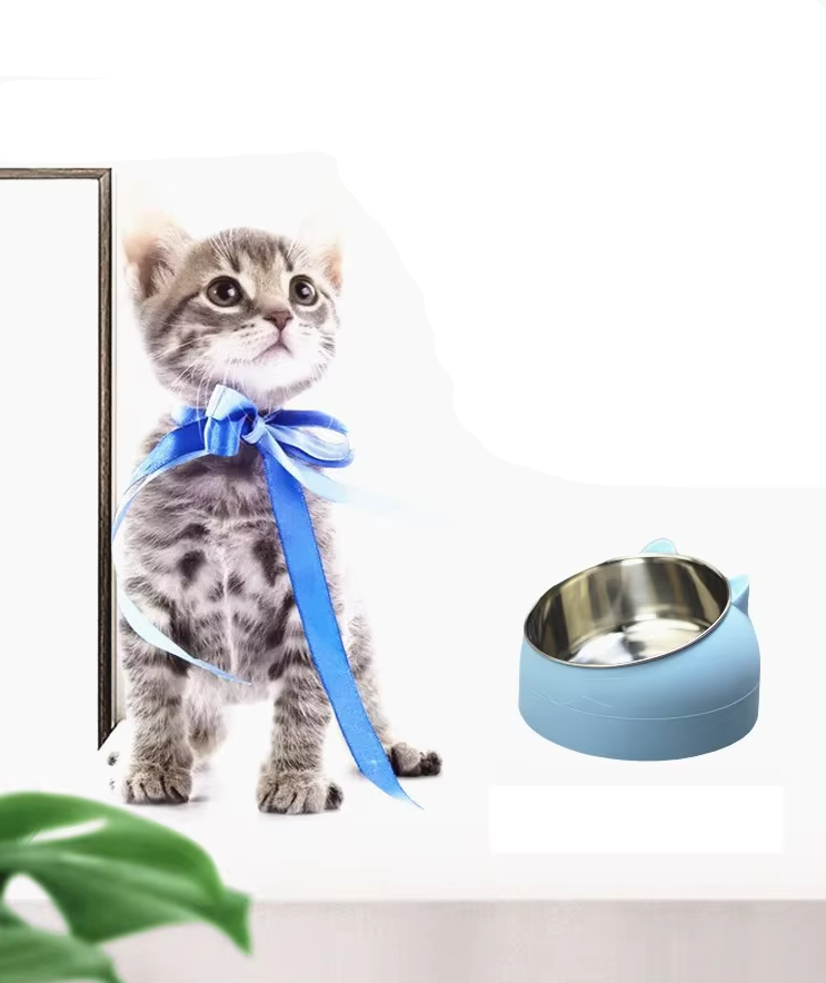 15-Degree Inclined Cat Bowl for Comfortable Feeding