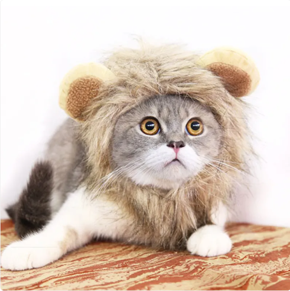 Lion Mane for Cats With Ears for Dress-Ups and Fun Photos