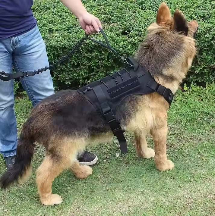 Tactical Dog Harness with Pockets and Leash for Training and Outdoor Use