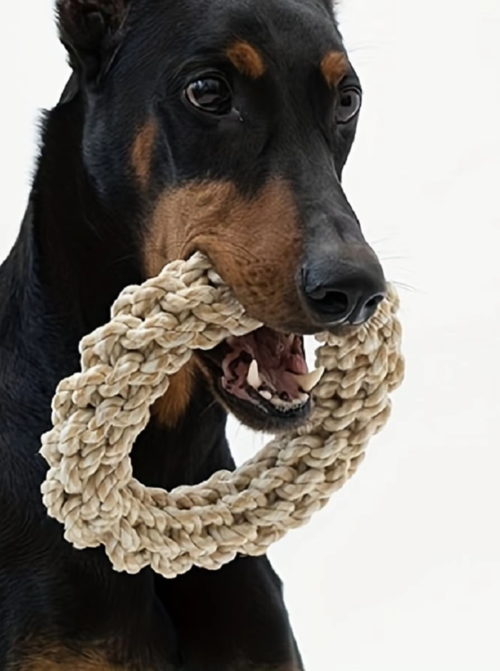 Durable Chew Ring for Dogs - Natural Rope Toy for Healthy Gums