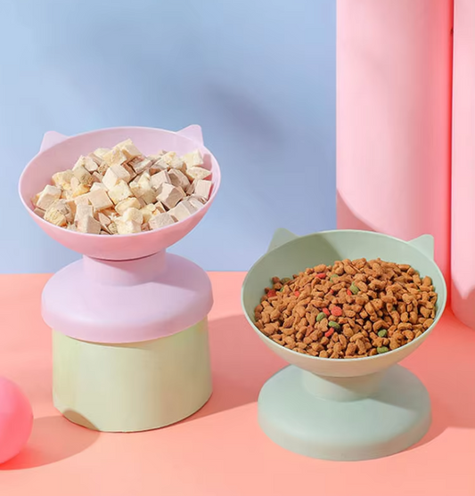 15-Degree Tilted Cat Bowl to Protect the Cervicals