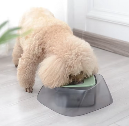 Raised Dog Bowl with Non-Slip Base