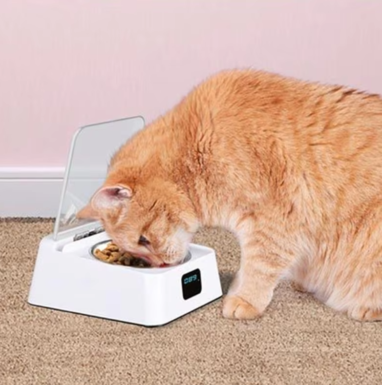 Automatic Cat Food Dispenser with Digital Display and Lid