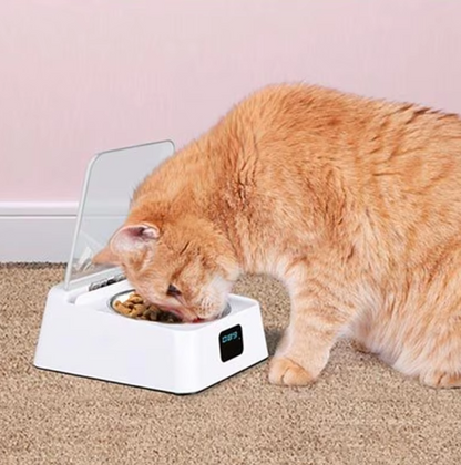 Automatic Cat Food Dispenser with Digital Display and Lid