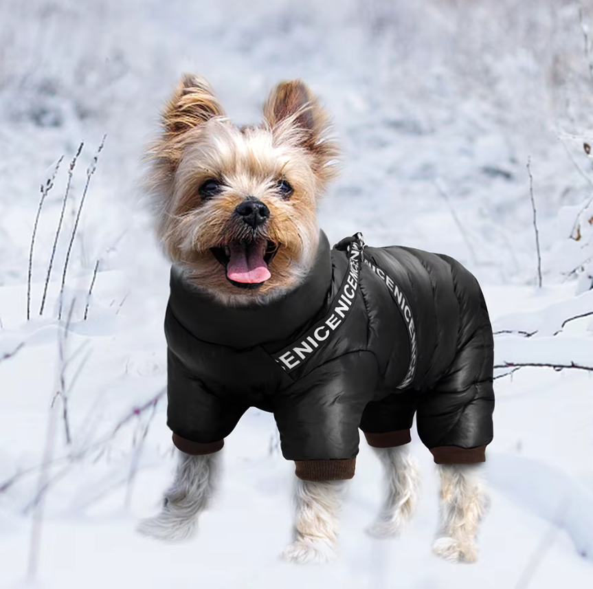 Winter Dog Coat for Cold Days