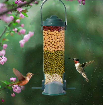 Squirrel-Resistant Bird Seed Feeder