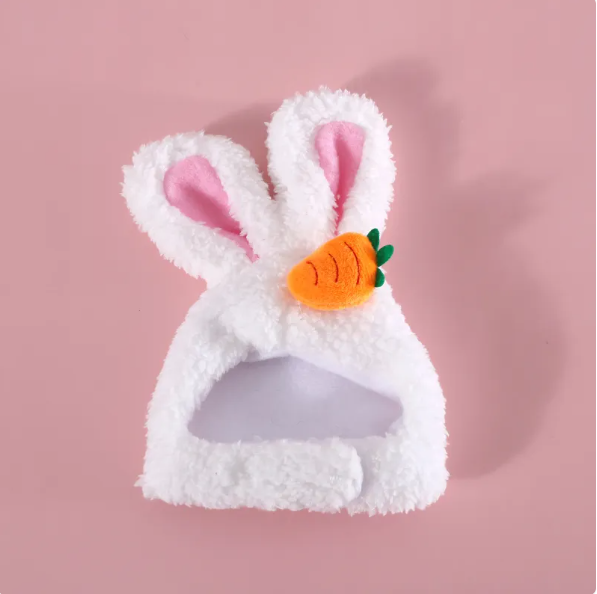 Cat Hat with Bunny Ears and Carrot or Flower Design for Adorable Companion Photos