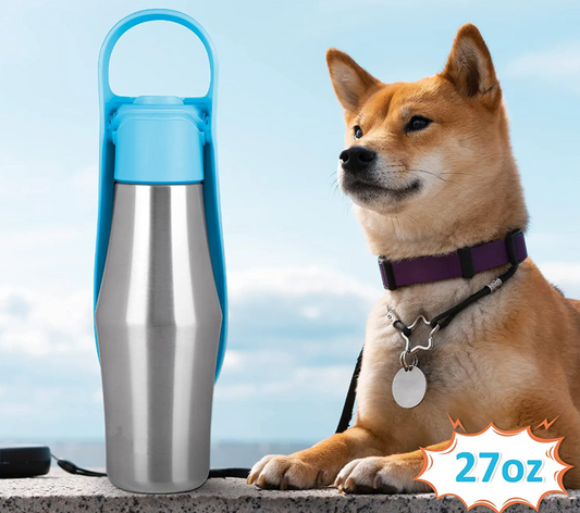 Stainless Steel Dog Water Bottle - Portable Water Dispenser with Collapsible Bowl