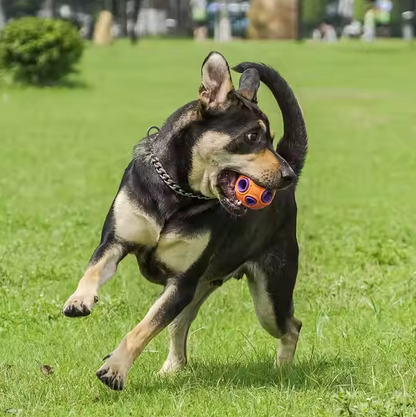 Interactive Dog Ball Toy - with Music and Light Function for Dogs