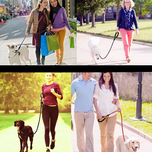 Adjustable Nylon Dog Leash with Padded Handle – Durable and Non-Slip Design
