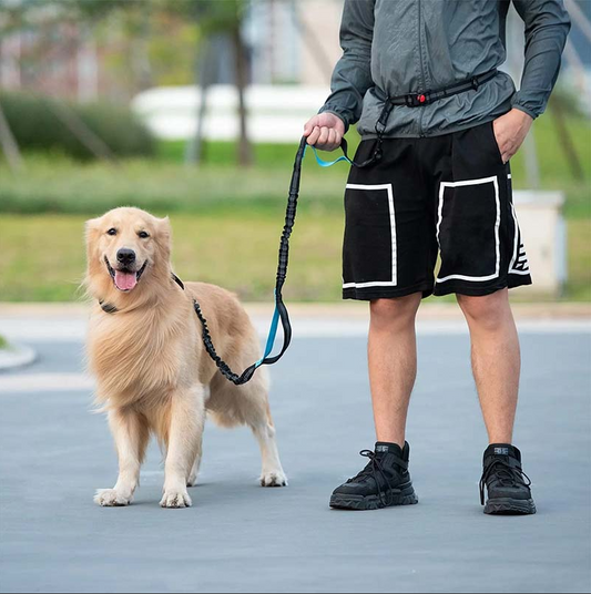 Hands-Free Dog Leash with Front Pocket