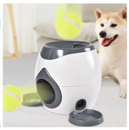 Interactive Dog Puzzle Toy – Smart Dog Toy with Ball