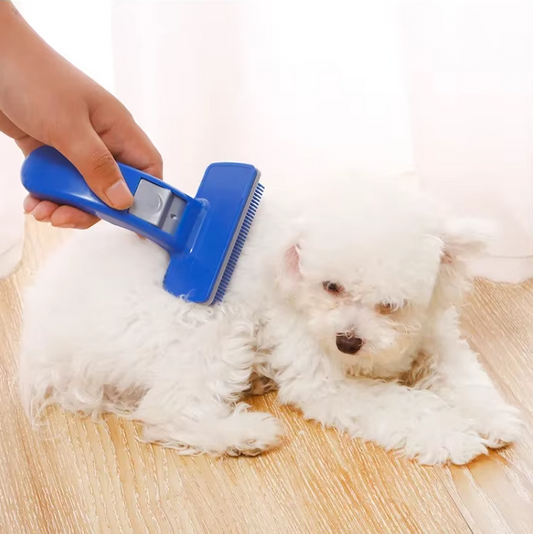 Self-Cleaning Pet Brush with Silicone Bristles for Effortless Grooming