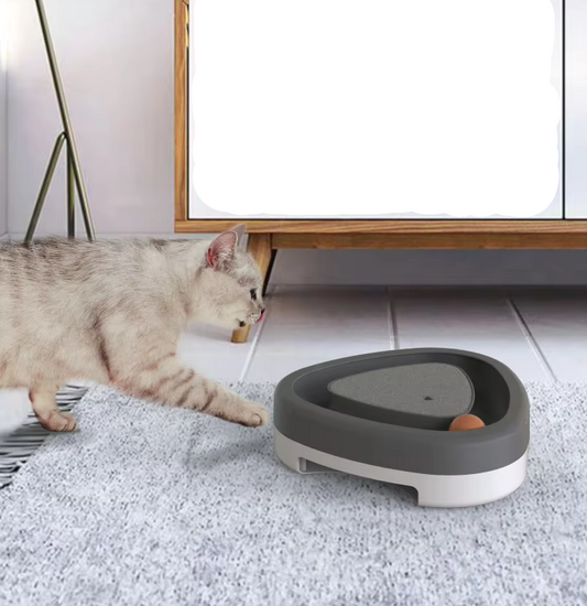 Interactive Cat Toy with Ball - Scratcher and Play Track for Active Cats