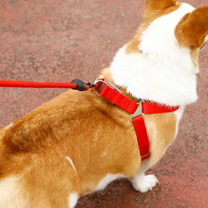 Adjustable Dog Harness with Leash in 5 Colours