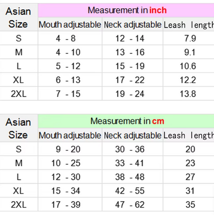 Adjustable Harness with Leash for Small and Medium-Sized Dogs