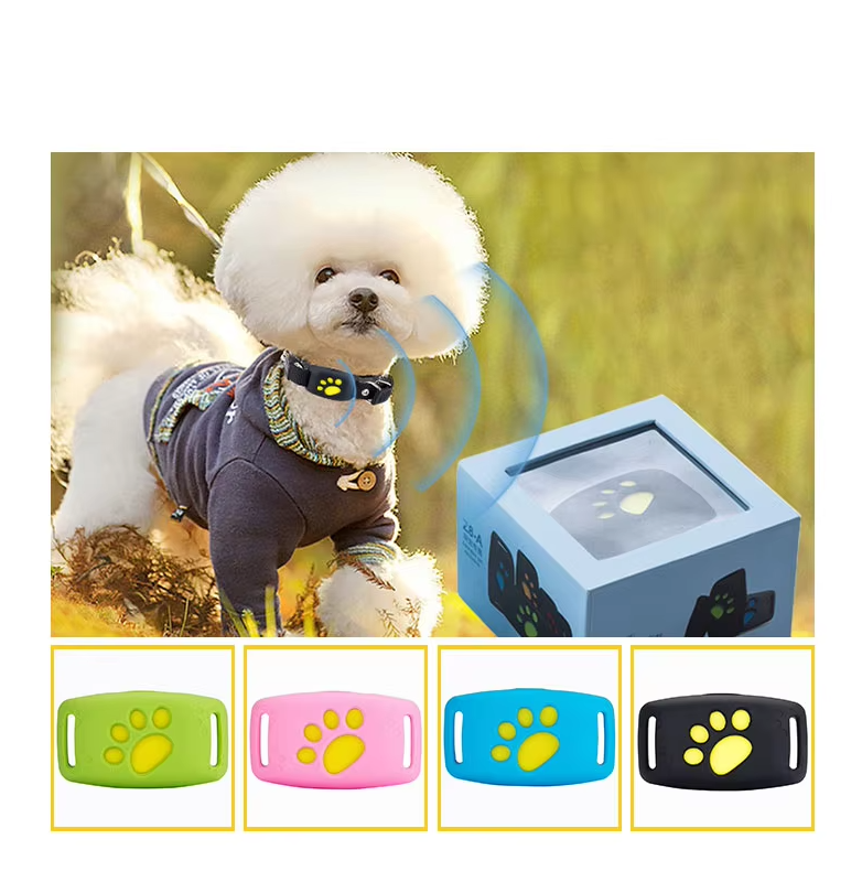 Dog Collar with LED Light Function - Visible in the Dark, Solid and Comfortable