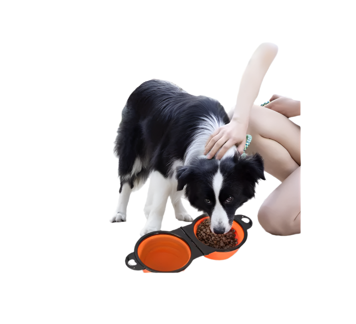 Foldable and Adjustable Double Bowl for Pets