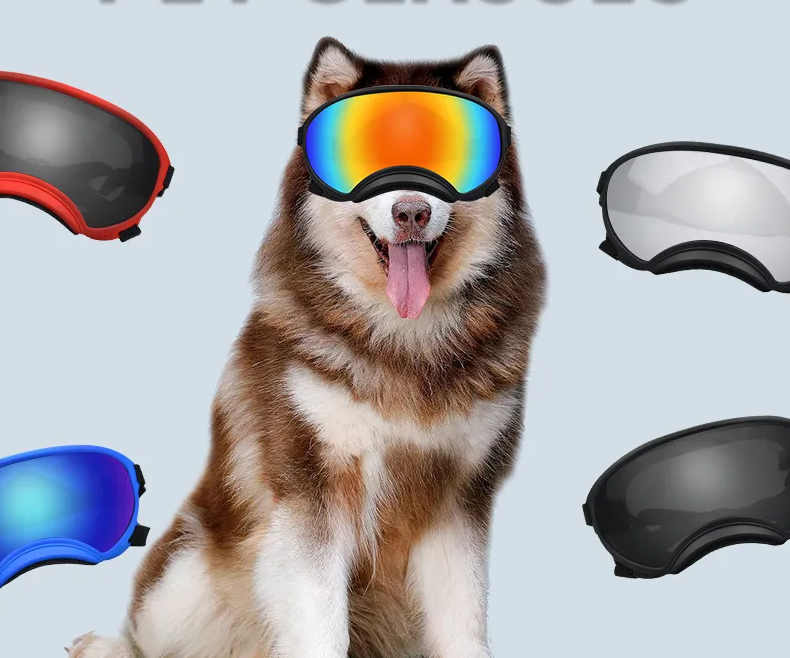 Protective Glasses for Dogs - Stylish Pet Glasses with UV Protection in Different Colours