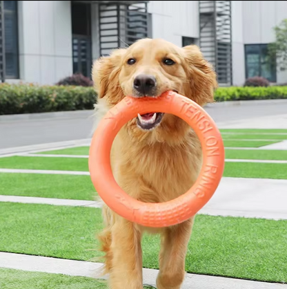 Durable Throw and Bite Ring - Interactive Dog Toy for Active Fun