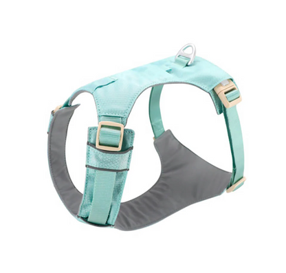 Anti-Pull Harness for Dogs with Adjustable Leash