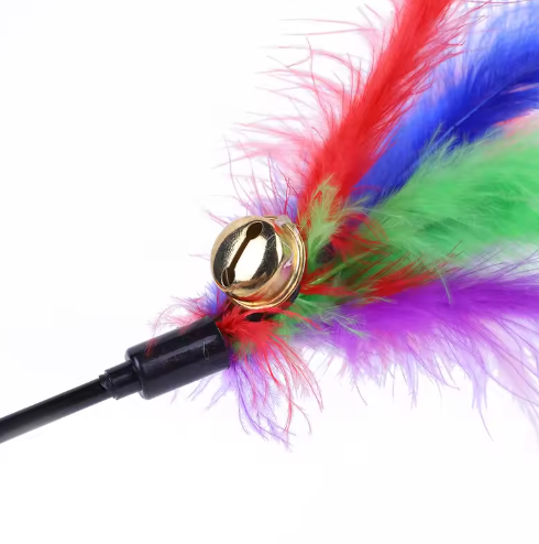 Cat Toy with Coloured Feathers (Set of 5)